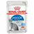 Royal Canin FHN Indoor in Gravy 12 x 85 g