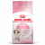 Royal Canin FHN Kitten 2kg