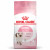 Royal Canin FHN Kitten 400g