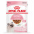 Royal Canin FHN Kitten in Gravy 12x85g