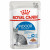 Royal Canin Indoor in Jelly 12 x 85g