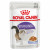 Royal Canin Sterilised in Jelly 12x85g