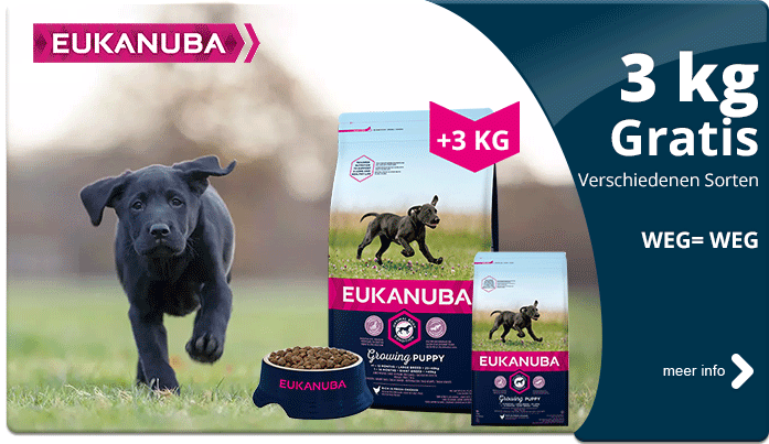 2020-01-eukanuba-gratis-kg-de